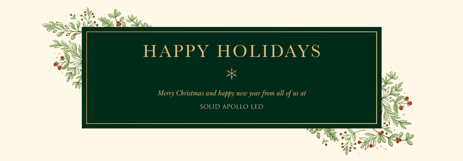 Happy Holidays. Merry Christmas and happy new year from all of us at Solid Apollo LED.